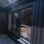 Black Flamingo